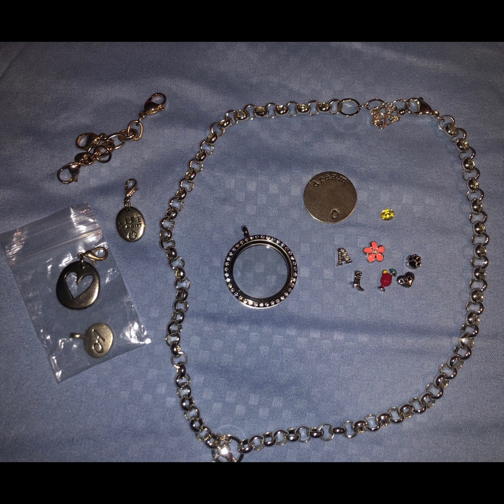Origami Owl Necklace & Charms